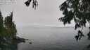 ./images/koeye/fitz-hugh/20250810/fitz-hugh20250810_135511M.jpg