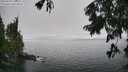 ./images/koeye/fitz-hugh/20250810/fitz-hugh20250810_140011M.jpg