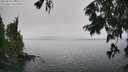 ./images/koeye/fitz-hugh/20250810/fitz-hugh20250810_140509M.jpg