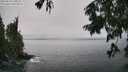 ./images/koeye/fitz-hugh/20250810/fitz-hugh20250810_142511M.jpg