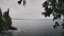 ./images/koeye/fitz-hugh/20250810/fitz-hugh20250810_143010M.jpg