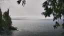 ./images/koeye/fitz-hugh/20250810/fitz-hugh20250810_144010M.jpg