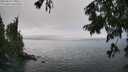 ./images/koeye/fitz-hugh/20250810/fitz-hugh20250810_144510M.jpg