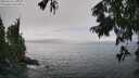 ./images/koeye/fitz-hugh/20250810/fitz-hugh20250810_145012M.jpg