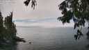 ./images/koeye/fitz-hugh/20250810/fitz-hugh20250810_150012M.jpg