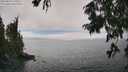 ./images/koeye/fitz-hugh/20250810/fitz-hugh20250810_151011M.jpg