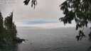 ./images/koeye/fitz-hugh/20250810/fitz-hugh20250810_151511M.jpg