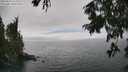 ./images/koeye/fitz-hugh/20250810/fitz-hugh20250810_152011M.jpg