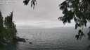 ./images/koeye/fitz-hugh/20250810/fitz-hugh20250810_153011M.jpg