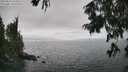 ./images/koeye/fitz-hugh/20250810/fitz-hugh20250810_153510M.jpg