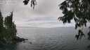 ./images/koeye/fitz-hugh/20250810/fitz-hugh20250810_154011M.jpg