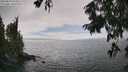 ./images/koeye/fitz-hugh/20250810/fitz-hugh20250810_154510M.jpg