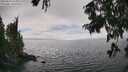 ./images/koeye/fitz-hugh/20250810/fitz-hugh20250810_155011M.jpg