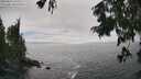 ./images/koeye/fitz-hugh/20250810/fitz-hugh20250810_155510M.jpg