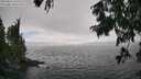 ./images/koeye/fitz-hugh/20250810/fitz-hugh20250810_160010M.jpg