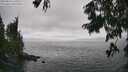 ./images/koeye/fitz-hugh/20250810/fitz-hugh20250810_160509M.jpg