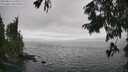 ./images/koeye/fitz-hugh/20250810/fitz-hugh20250810_161011M.jpg