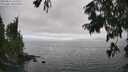 ./images/koeye/fitz-hugh/20250810/fitz-hugh20250810_161511M.jpg