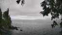 ./images/koeye/fitz-hugh/20250810/fitz-hugh20250810_162010M.jpg