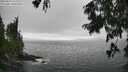 ./images/koeye/fitz-hugh/20250810/fitz-hugh20250810_162509M.jpg