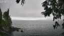 ./images/koeye/fitz-hugh/20250810/fitz-hugh20250810_163009M.jpg