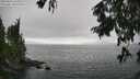 ./images/koeye/fitz-hugh/20250810/fitz-hugh20250810_163510M.jpg