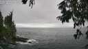 ./images/koeye/fitz-hugh/20250810/fitz-hugh20250810_164011M.jpg