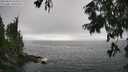 ./images/koeye/fitz-hugh/20250810/fitz-hugh20250810_164511M.jpg