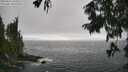 ./images/koeye/fitz-hugh/20250810/fitz-hugh20250810_165010M.jpg