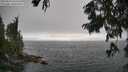 ./images/koeye/fitz-hugh/20250810/fitz-hugh20250810_165508M.jpg