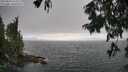 ./images/koeye/fitz-hugh/20250810/fitz-hugh20250810_170011M.jpg