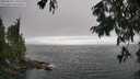 ./images/koeye/fitz-hugh/20250810/fitz-hugh20250810_170507M.jpg
