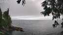 ./images/koeye/fitz-hugh/20250810/fitz-hugh20250810_171011M.jpg