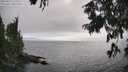 ./images/koeye/fitz-hugh/20250810/fitz-hugh20250810_171511M.jpg