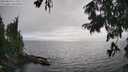 ./images/koeye/fitz-hugh/20250810/fitz-hugh20250810_172009M.jpg