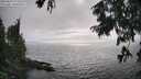 ./images/koeye/fitz-hugh/20250810/fitz-hugh20250810_172510M.jpg