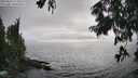 ./images/koeye/fitz-hugh/20250810/fitz-hugh20250810_173012M.jpg