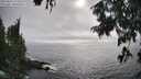 ./images/koeye/fitz-hugh/20250810/fitz-hugh20250810_173511M.jpg