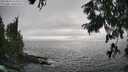 ./images/koeye/fitz-hugh/20250810/fitz-hugh20250810_174011M.jpg