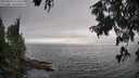 ./images/koeye/fitz-hugh/20250810/fitz-hugh20250810_174511M.jpg