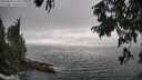 ./images/koeye/fitz-hugh/20250810/fitz-hugh20250810_175010M.jpg