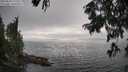 ./images/koeye/fitz-hugh/20250810/fitz-hugh20250810_175510M.jpg