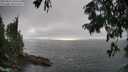 ./images/koeye/fitz-hugh/20250810/fitz-hugh20250810_180509M.jpg