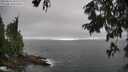 ./images/koeye/fitz-hugh/20250810/fitz-hugh20250810_181511M.jpg