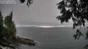 ./images/koeye/fitz-hugh/20250810/fitz-hugh20250810_182010M.jpg