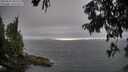 ./images/koeye/fitz-hugh/20250810/fitz-hugh20250810_182510M.jpg