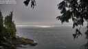 ./images/koeye/fitz-hugh/20250810/fitz-hugh20250810_185510M.jpg