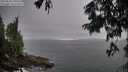 ./images/koeye/fitz-hugh/20250810/fitz-hugh20250810_190509M.jpg
