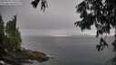 ./images/koeye/fitz-hugh/20250810/fitz-hugh20250810_191009M.jpg