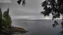 ./images/koeye/fitz-hugh/20250810/fitz-hugh20250810_191509M.jpg